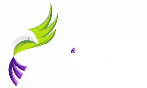 Captivating the Web