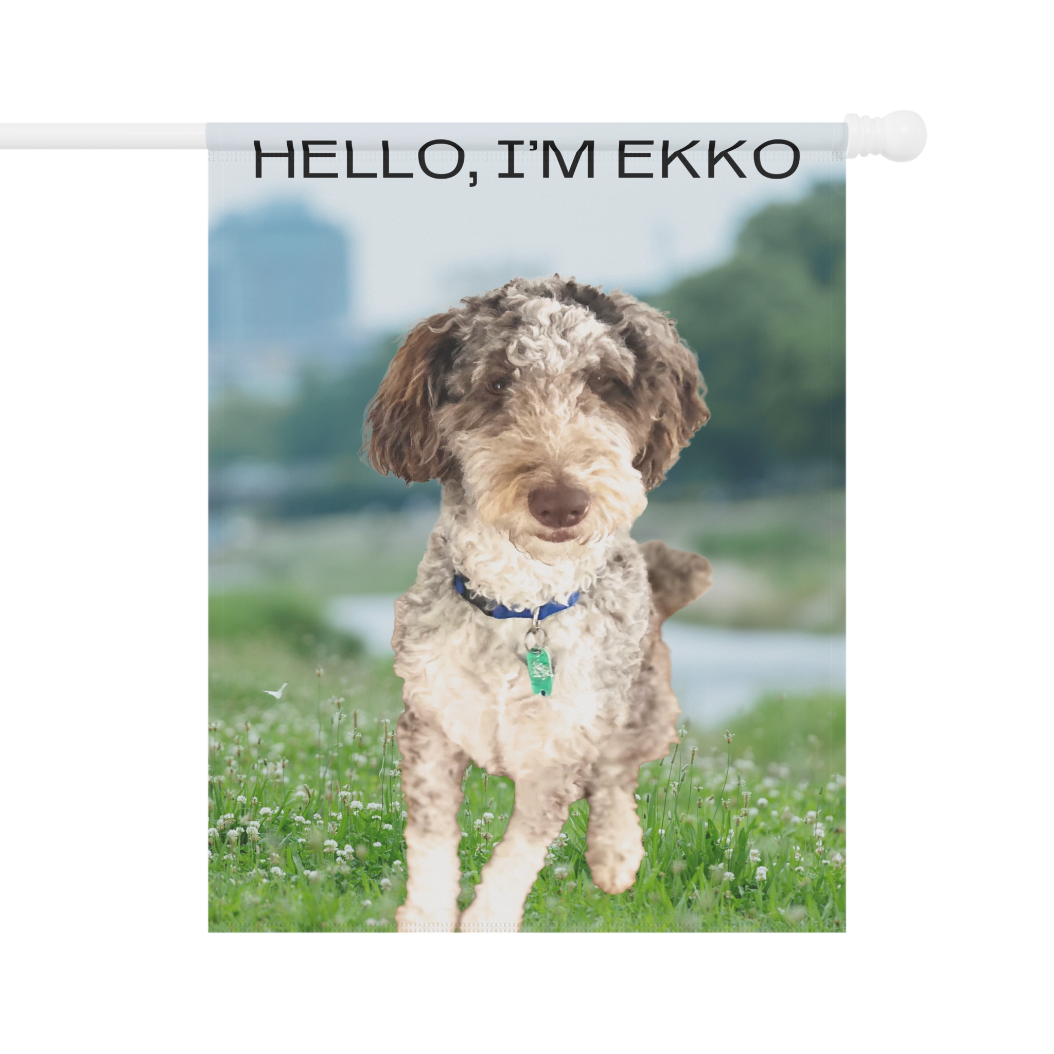Dog Garden Flag - "Hello, I'm Ekko" Personalized Pet Welcome Banner - Image 5